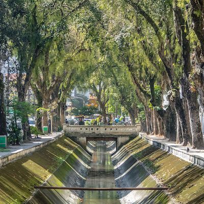 Santas city canals Brazil with arches of green leafy trees above