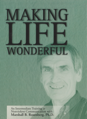 Making Life Wonderful Video Front Cover