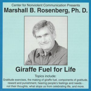 Giraffe Fuel for Life Audio Front Cover