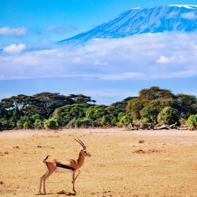 IIT Kenya 2022