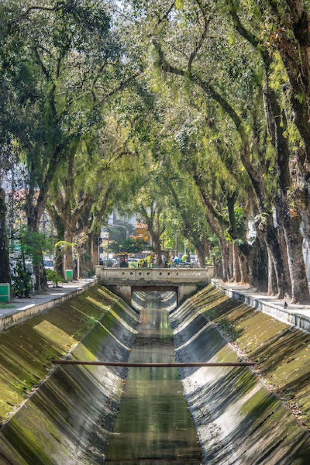 Santas city canals Brazil with arches of green leafy trees above