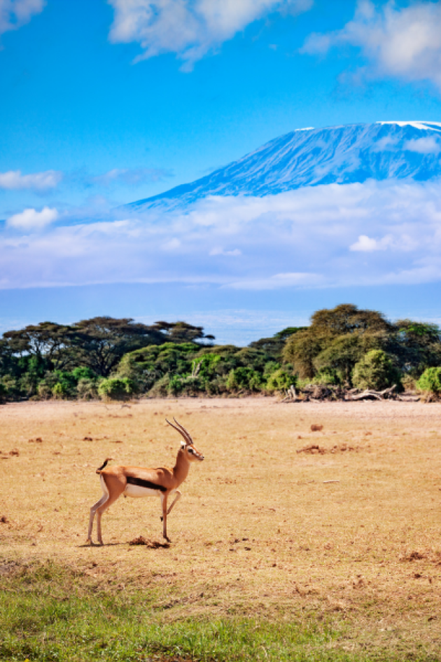 IIT Kenya 2022